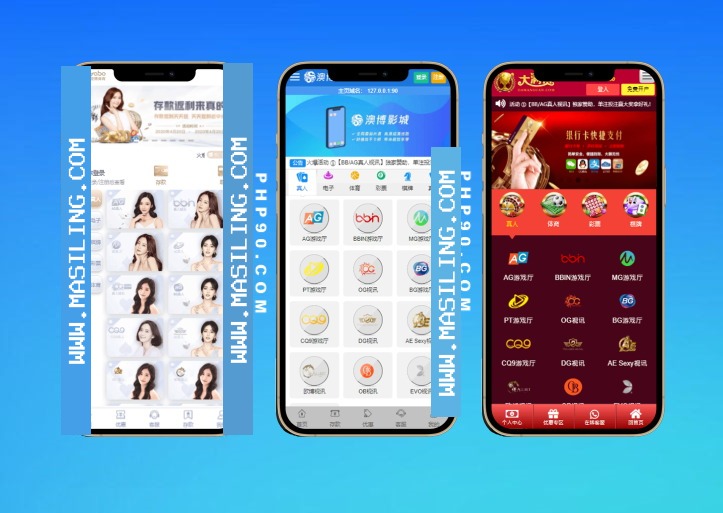 NG接口源码下载 包网系统多模板+演示站源码+搭建教程
